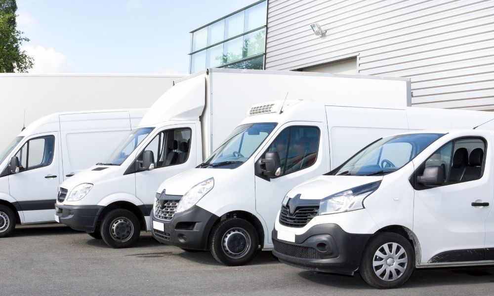 A small fleet of commerical vans parked in a parking lot.